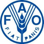 La FAO et ses partenaires stratégiques dans la sous-région identifient les domaines prioritaires d’intervention, stratégies et programmes