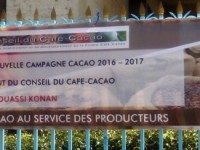Cérémonie d’ouverture de la Campagne de commercialisation du cacao 2016-2017
