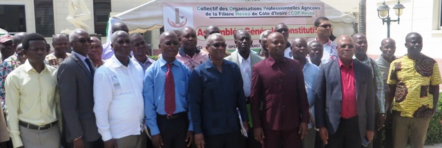 Assemblée Générale constitutive du collectif des organisations professionnelles agricoles des producteurs de la filière Hévéa de Côte d’ivoire (COP-Hévéa)