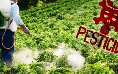 Gestion des pesticides obsolètes en Côte d’Ivoire : Le PROGEP-CI pour une politique du pollueur payeur