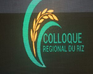 CÔTE D’IVOIRE :RAPPORT DU COLLOQUE REGIONAL DU RIZ 2024