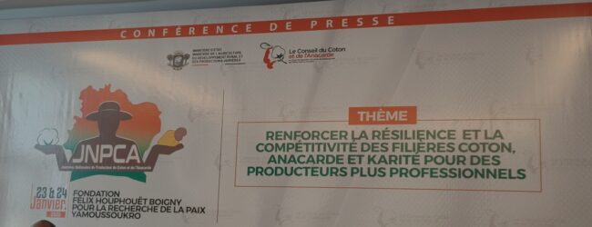 ‎Côte d’Ivoire : Coton, Anacarde et Karité, piliers du développement rural