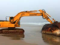 Environnement Marin : Encore un cachalot découvert mort à Assouindé sur le littoral ivoirien
