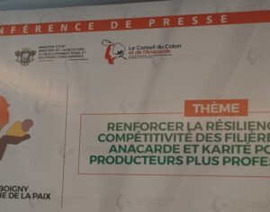 ‎Côte d’Ivoire : Coton, Anacarde et Karité, piliers du développement rural